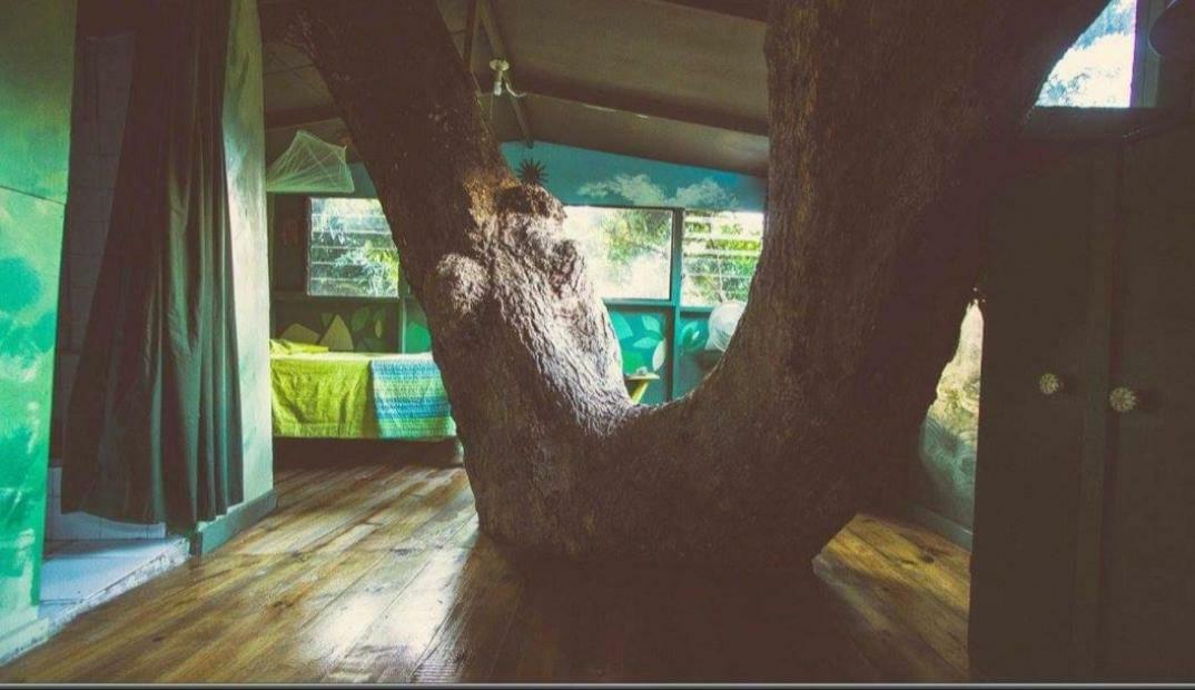 Irish Town Prince Valley Guesthouse מראה חיצוני תמונה