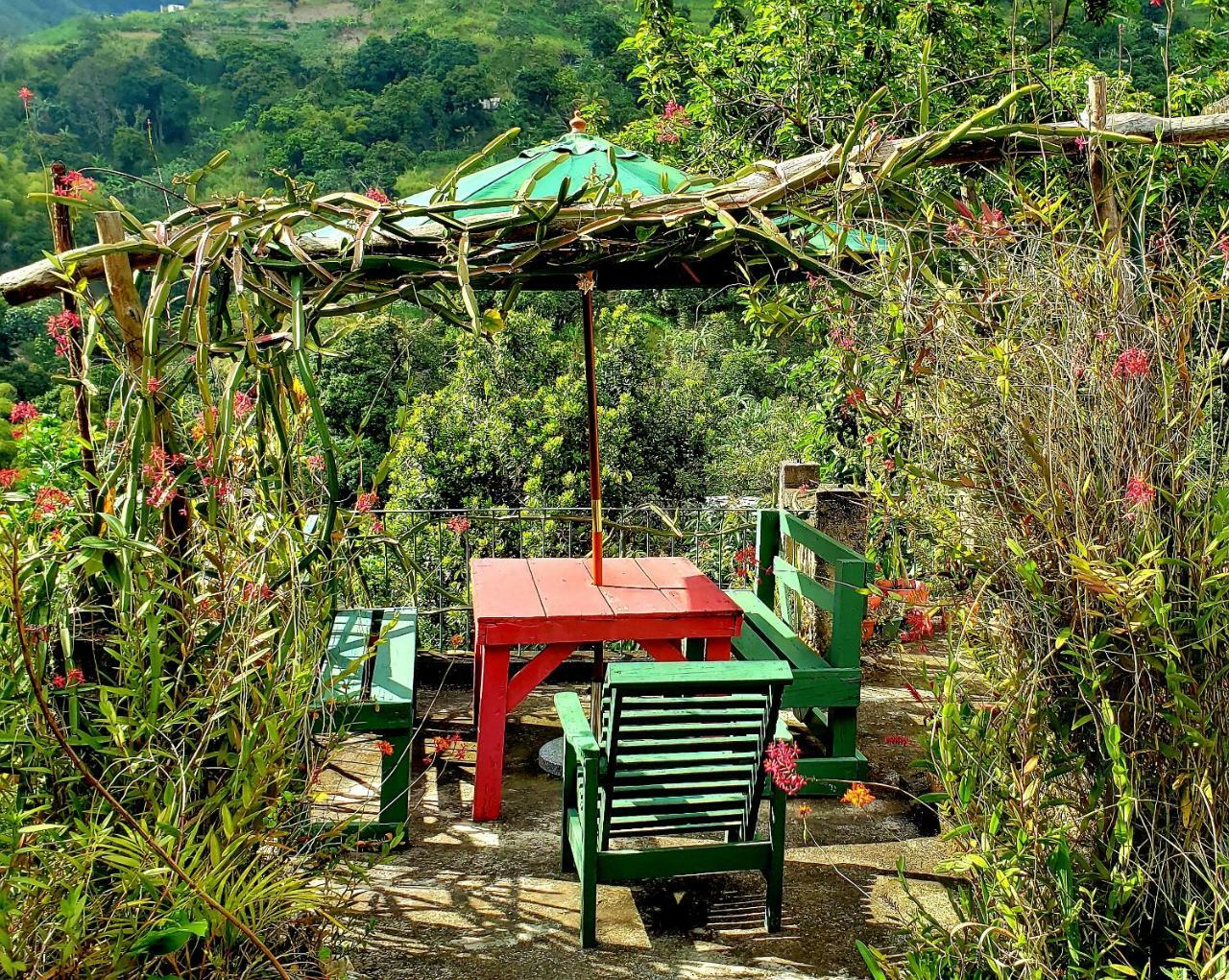 Irish Town Prince Valley Guesthouse מראה חיצוני תמונה