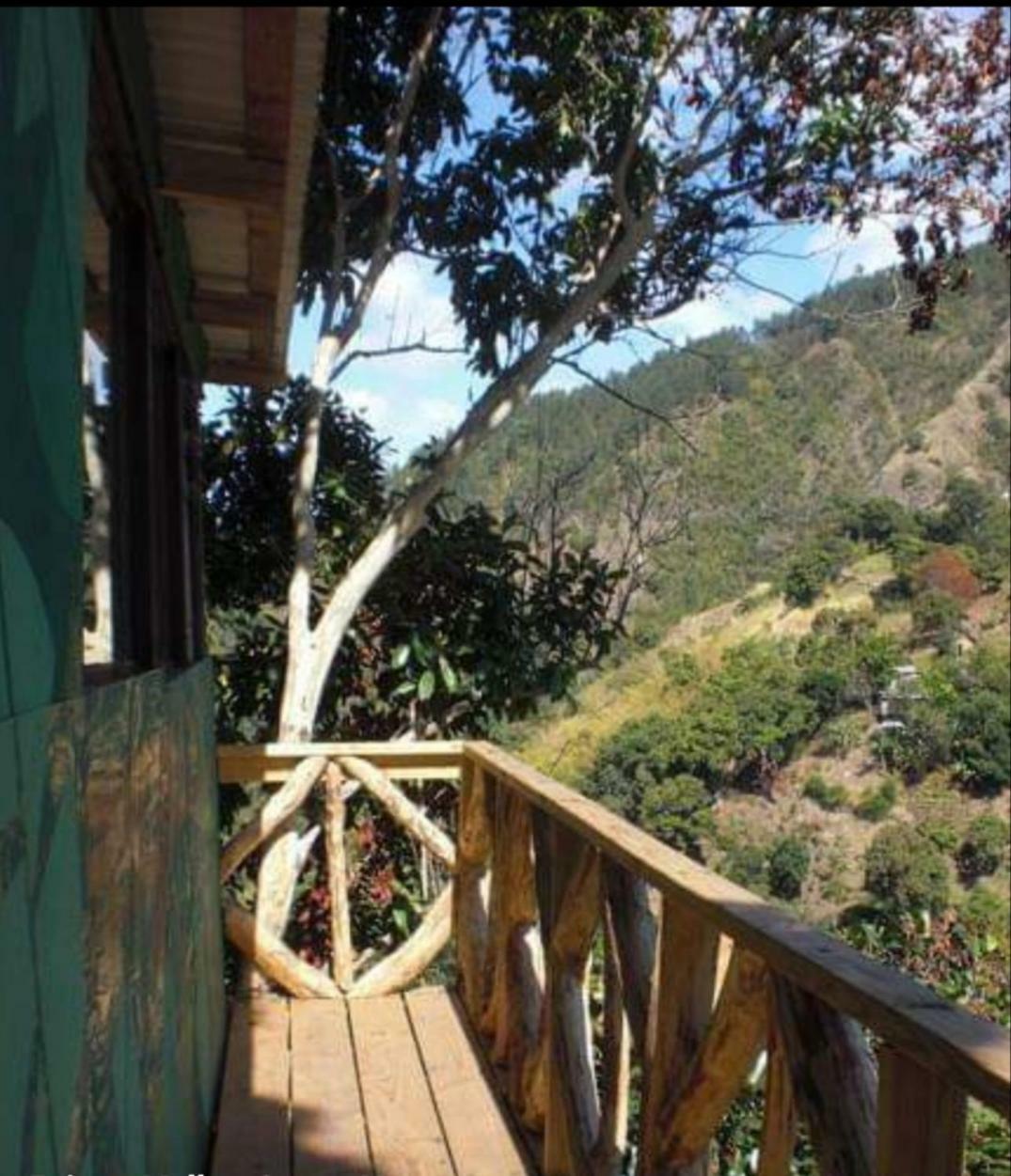 Irish Town Prince Valley Guesthouse מראה חיצוני תמונה