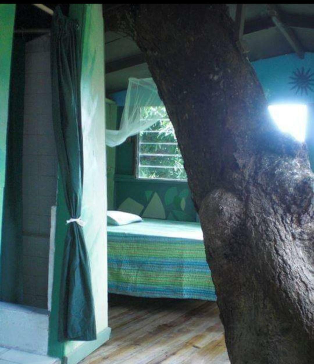 Irish Town Prince Valley Guesthouse מראה חיצוני תמונה
