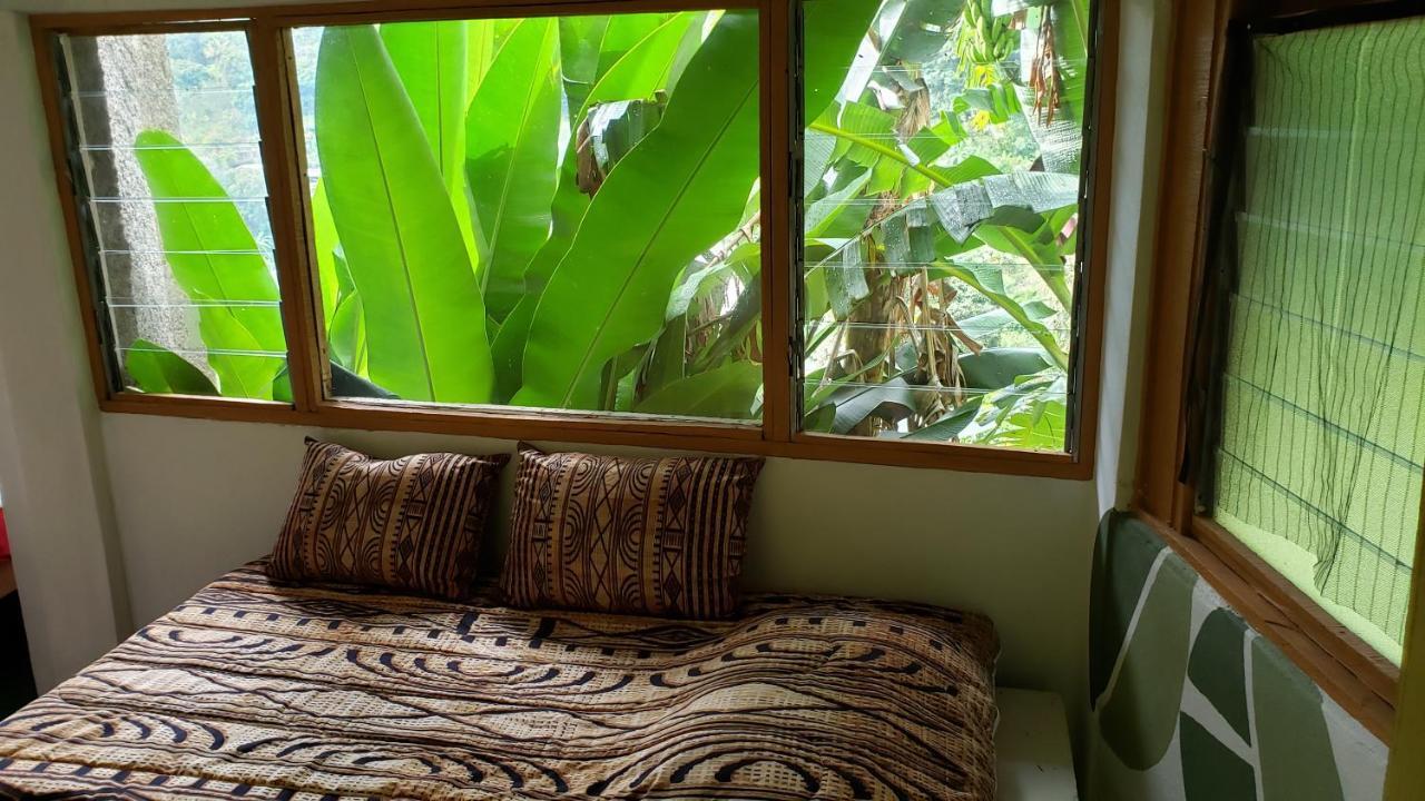 Irish Town Prince Valley Guesthouse מראה חיצוני תמונה